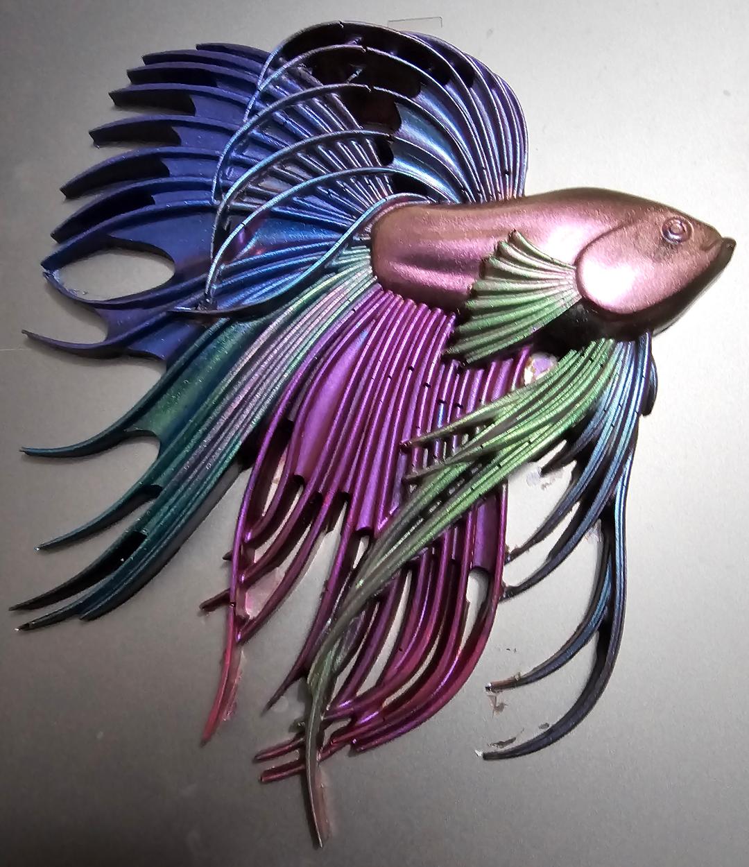 Beta Fighting Fish