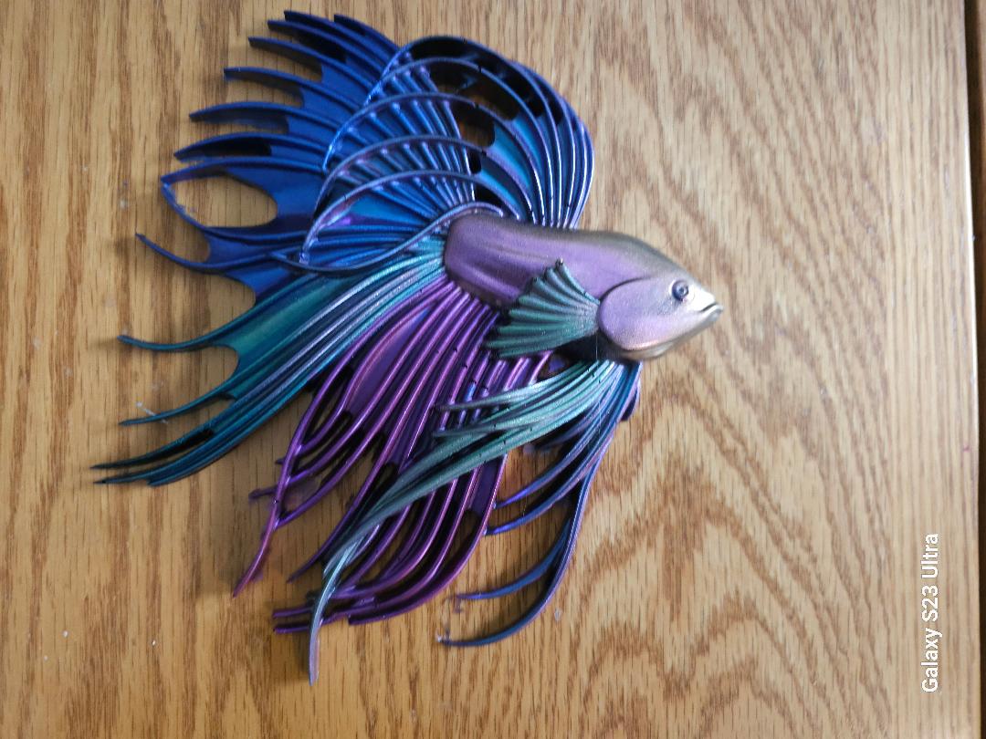 Beta Fighting Fish
