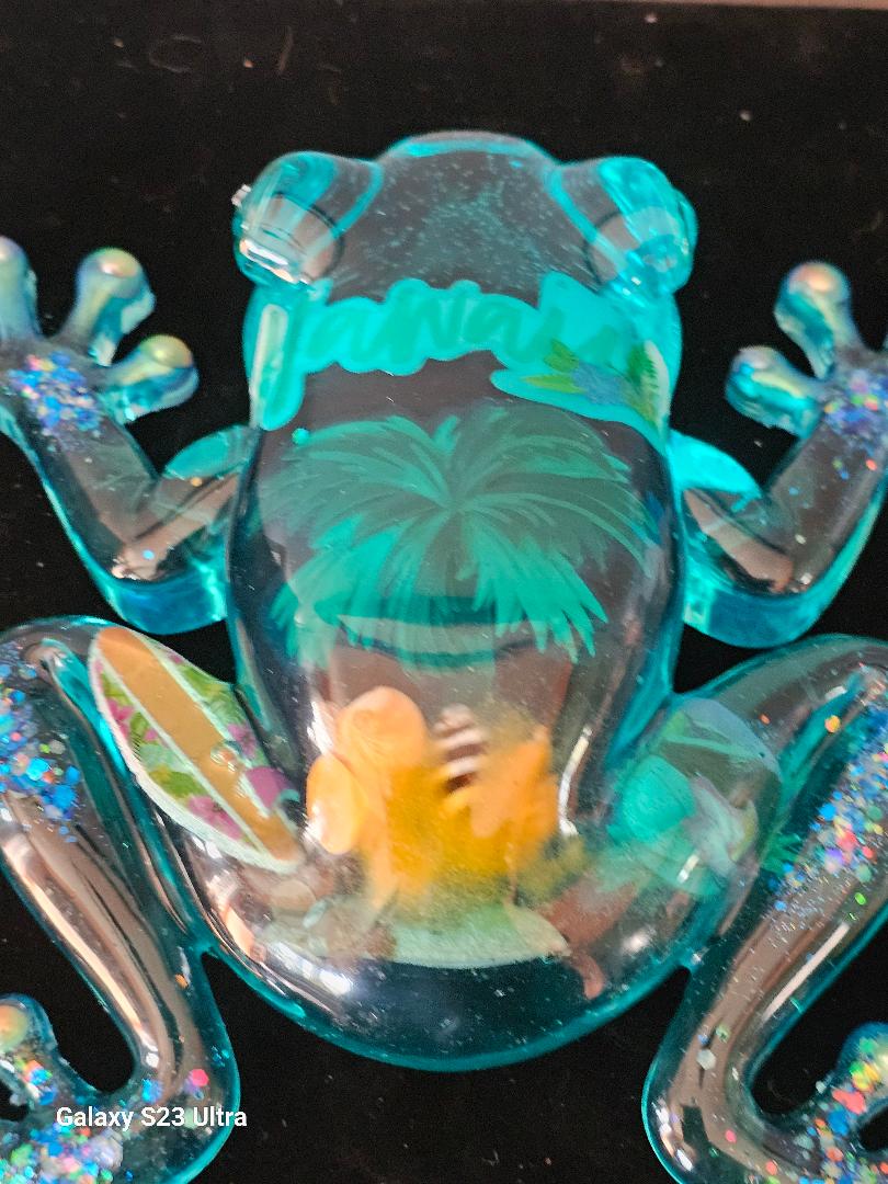 Hawaii Frog