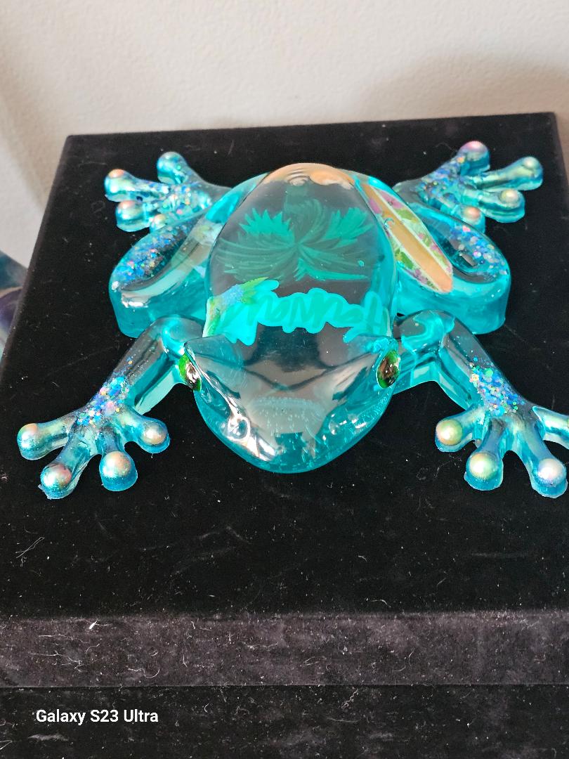 Hawaii Frog